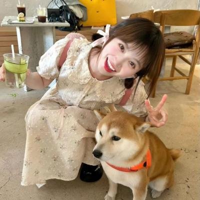 恋爱的滋味